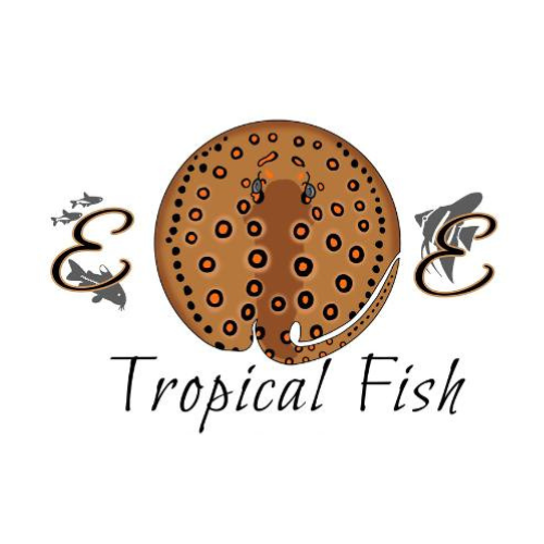 E & E Tropical Fish - $25 Gift certificate