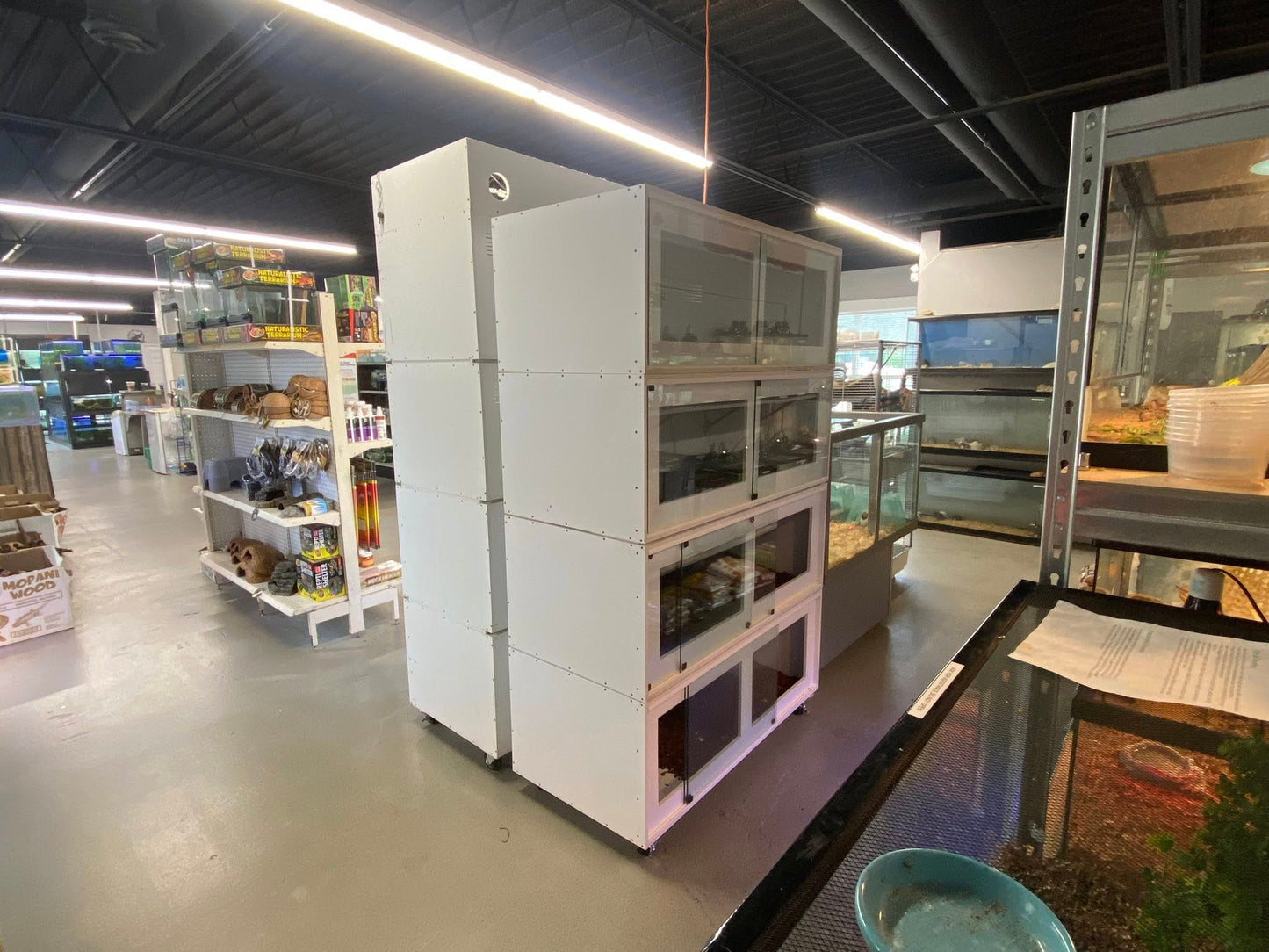 E & E Tropical Fish - $25 Gift certificate